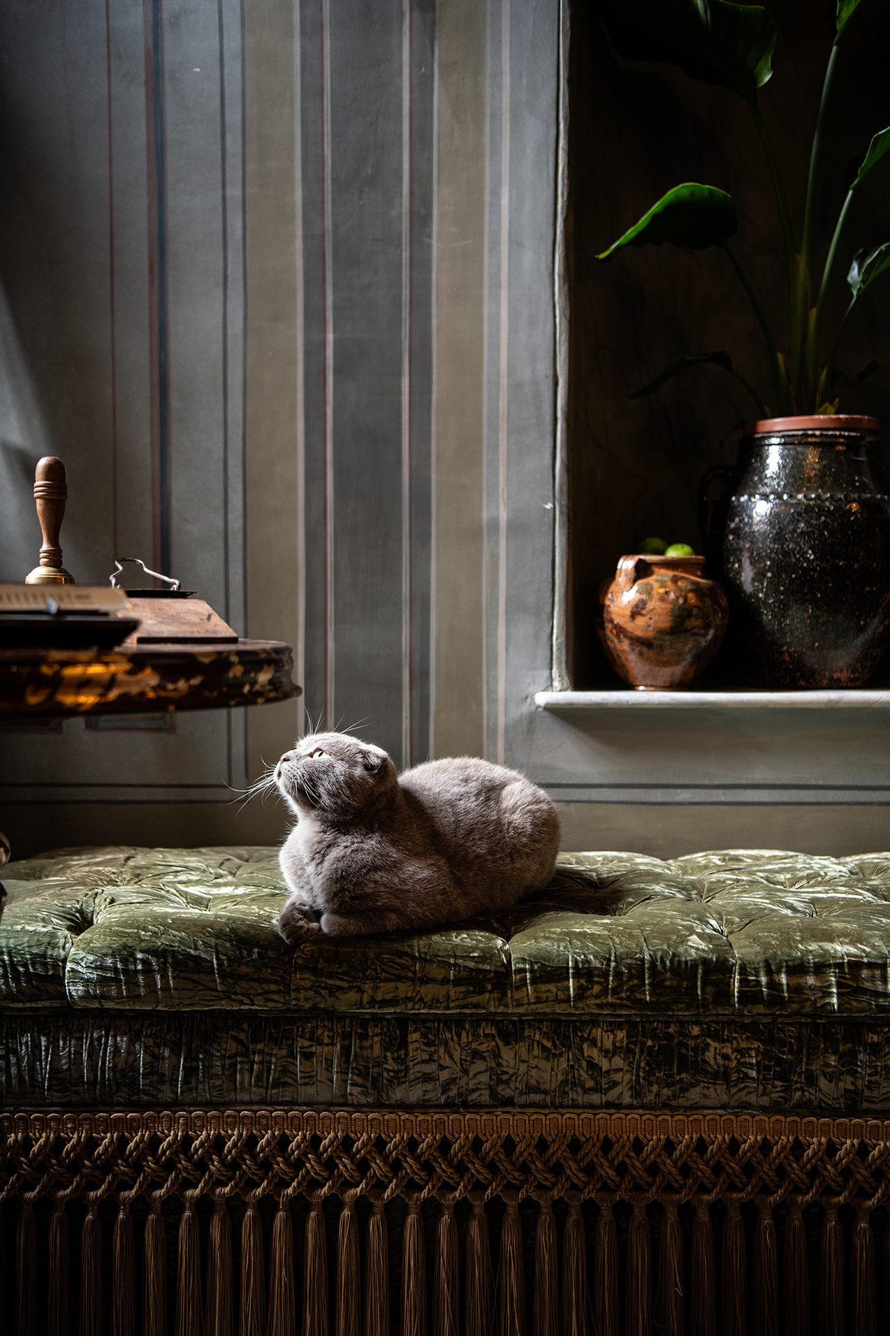 Wooden Structure details